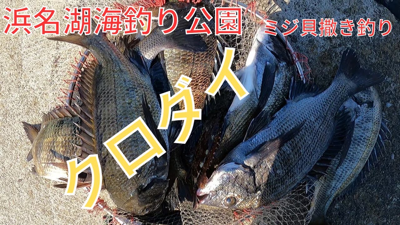 下げでも好調遊具前