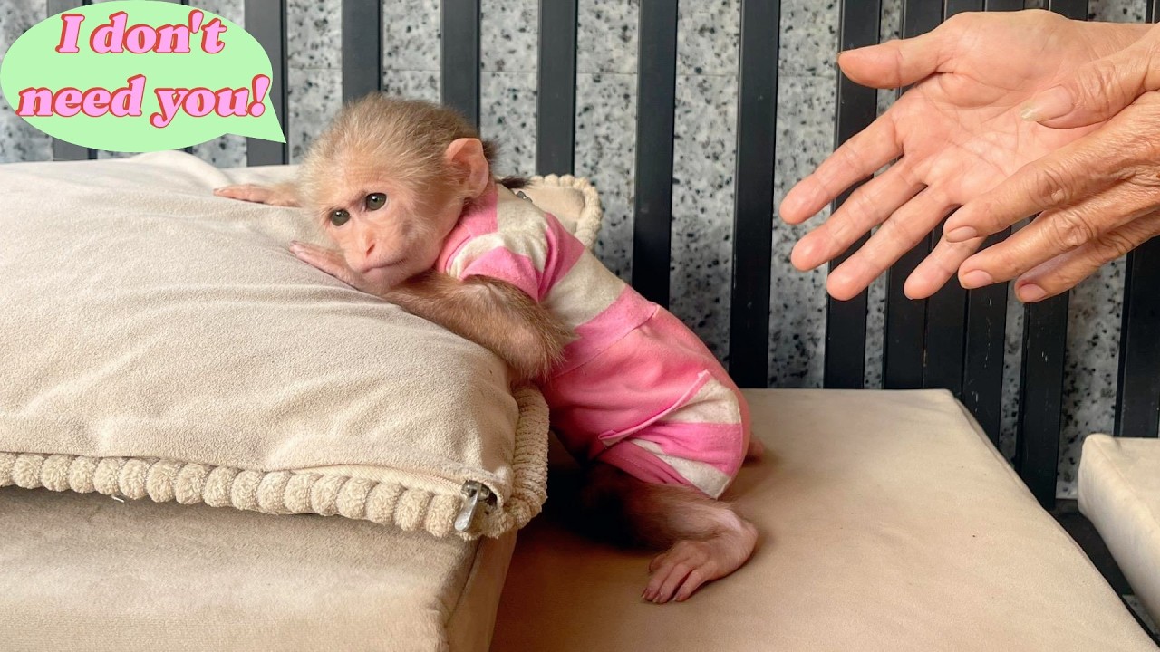 Lulu Is Left Heartbroken and Empty — Dad and Bi Leave While She’s Away