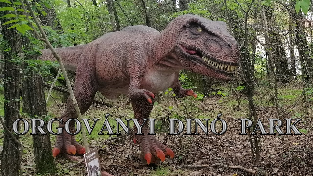 Orgoványi Dinó Park