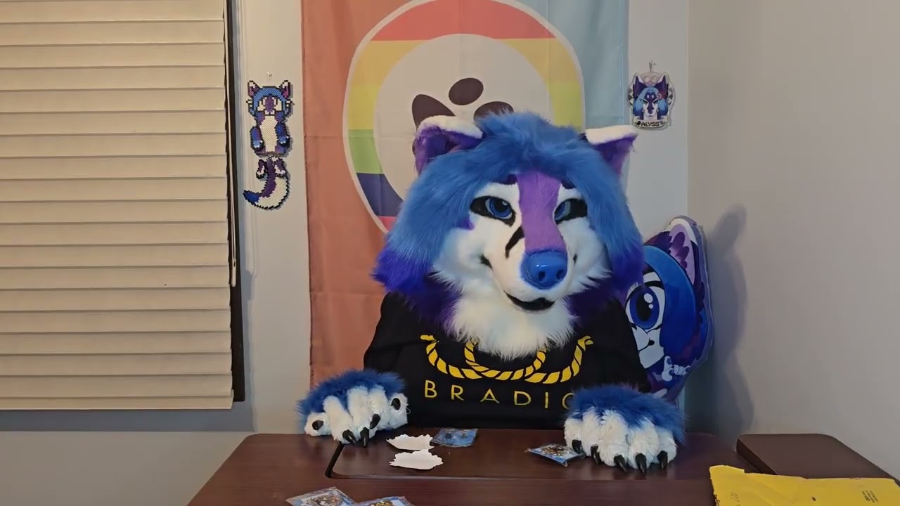 Unboxing Alyss 114-Fursona Pins: DnD Edition! (Rangers and Rogues)