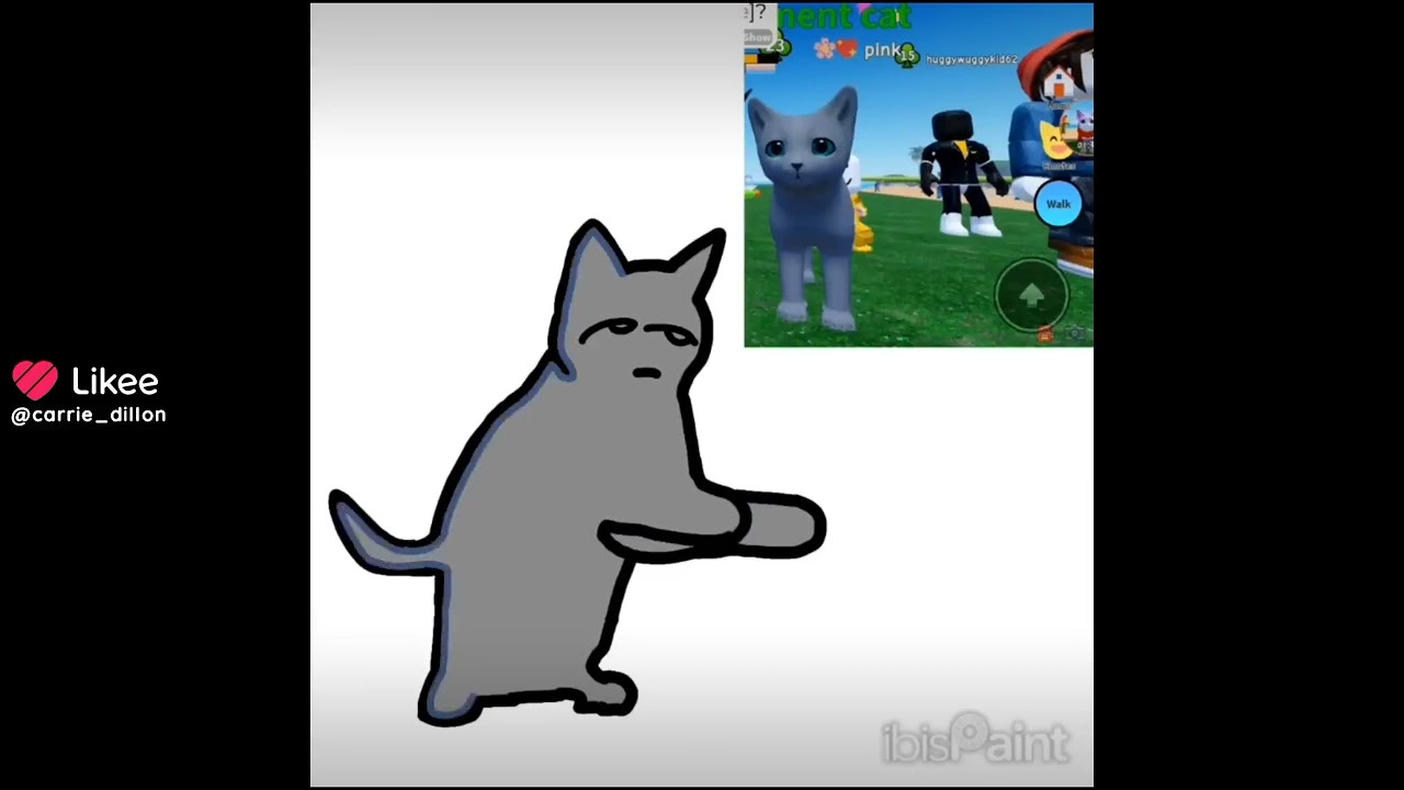 Make a great cat