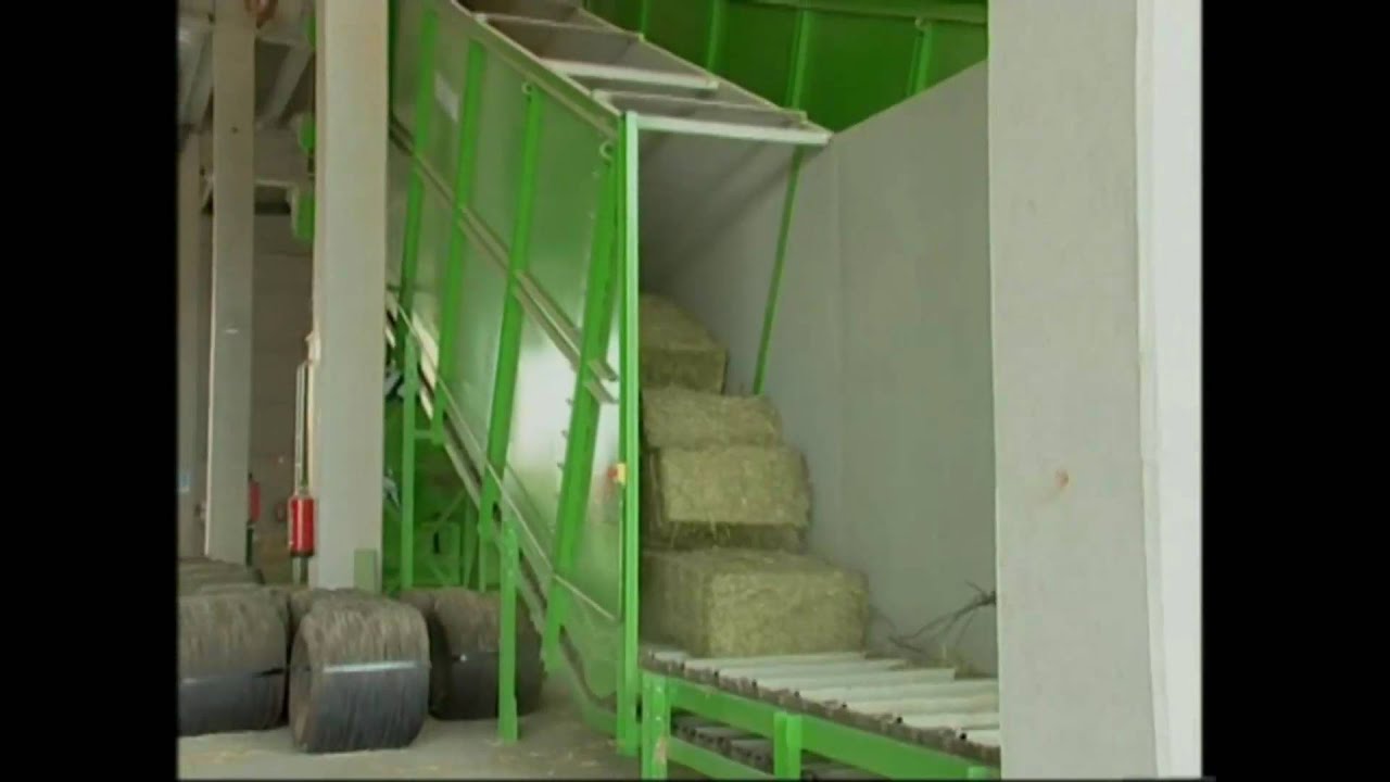 Cattle food production plants Tatoma