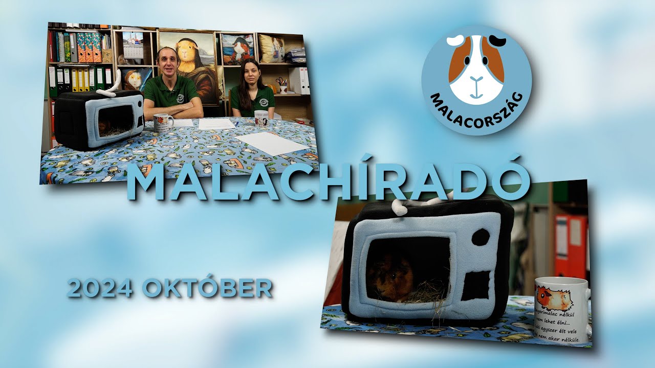 📺 Malachíradó - 2024. október