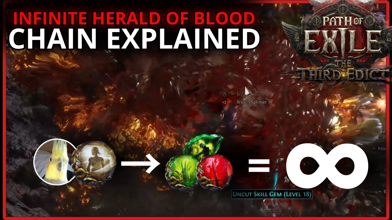 [PoE2 0.3] Infinite Herald of Blood Explosion Chain Explanation | Bleed + Poison Makes Massive Clear