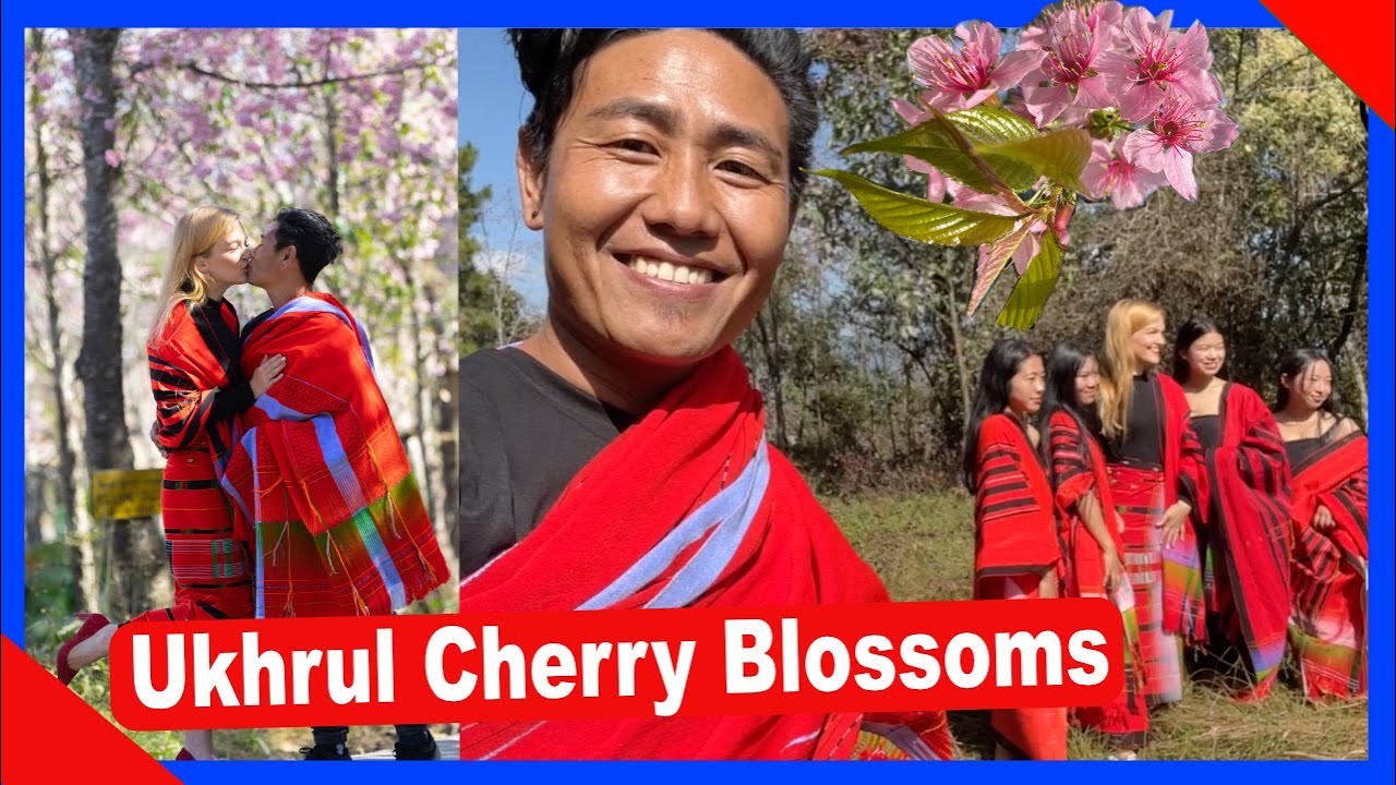 Ukhrul Cherry Blossoms VLOG198 | TheShimrays