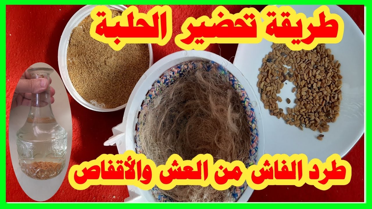 طريقة استعمال الحلبة لطرد الفاش من العش والأقفاص
