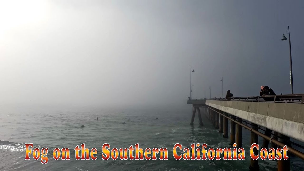 Foggy Day on the Beach 1/20/2026