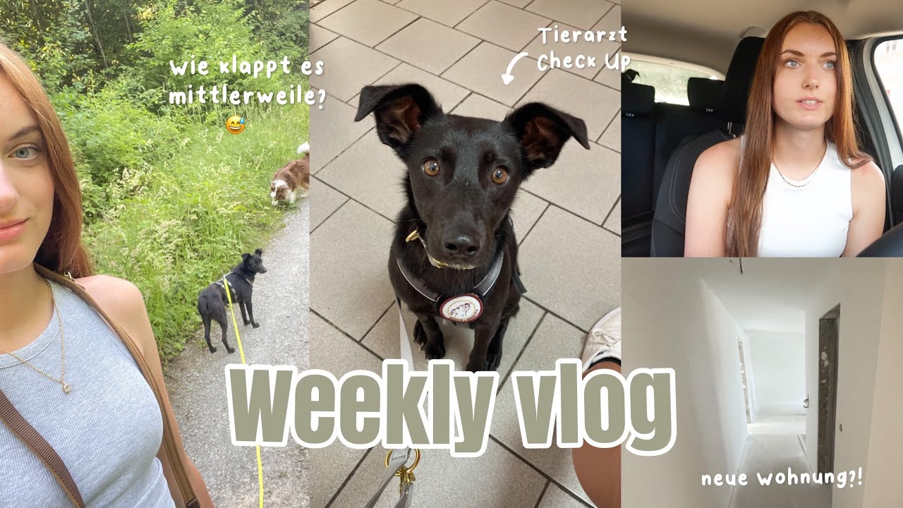 Erster Tierarztbesuch mit Josy, Alltag mit 2 Hunden & Umzugspläne?! - WEEKLY VLOG