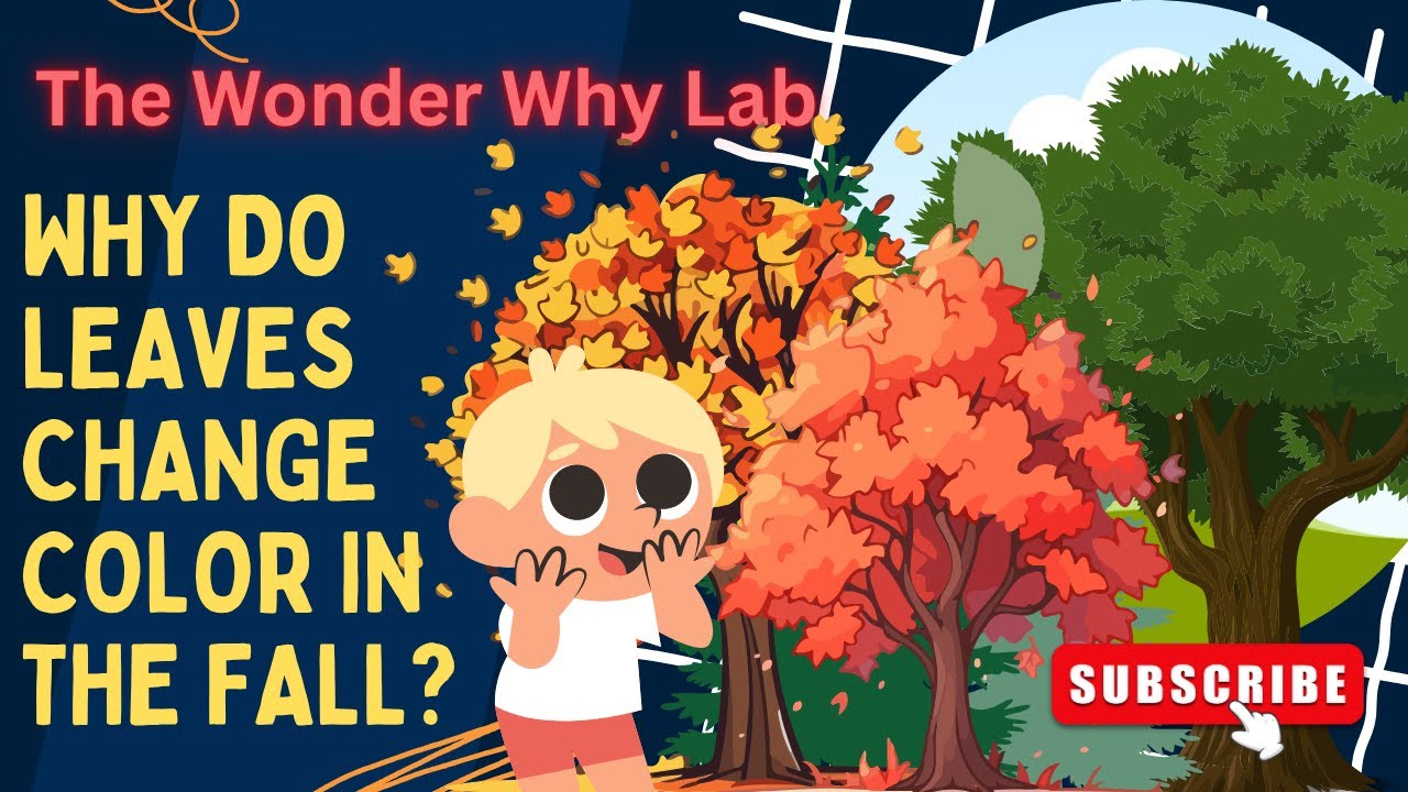 Science for Kids:  Why Do Leaves Change Color in the Fall? | The Wonder Why Lab