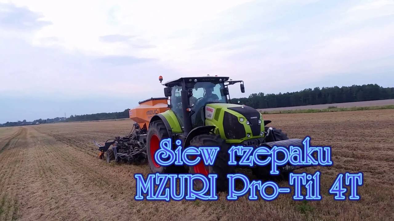 Mzuri 4T bezorkowy siew rzepaku 2016  (Petro Trans Usługi Rolnicze)