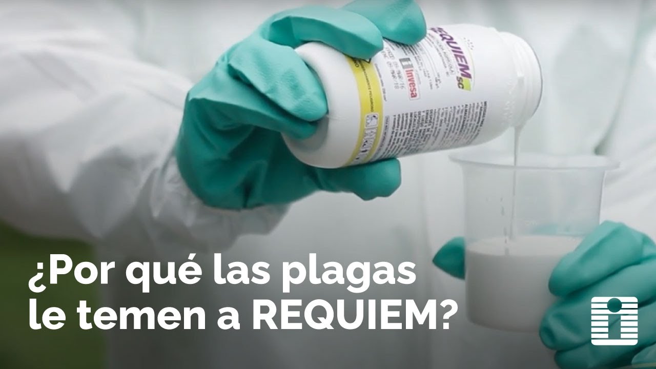 🌱 AGROINVESA | REQUIEM SC: INSECTICIDA DE DOBLE ACCIÓN 🚜