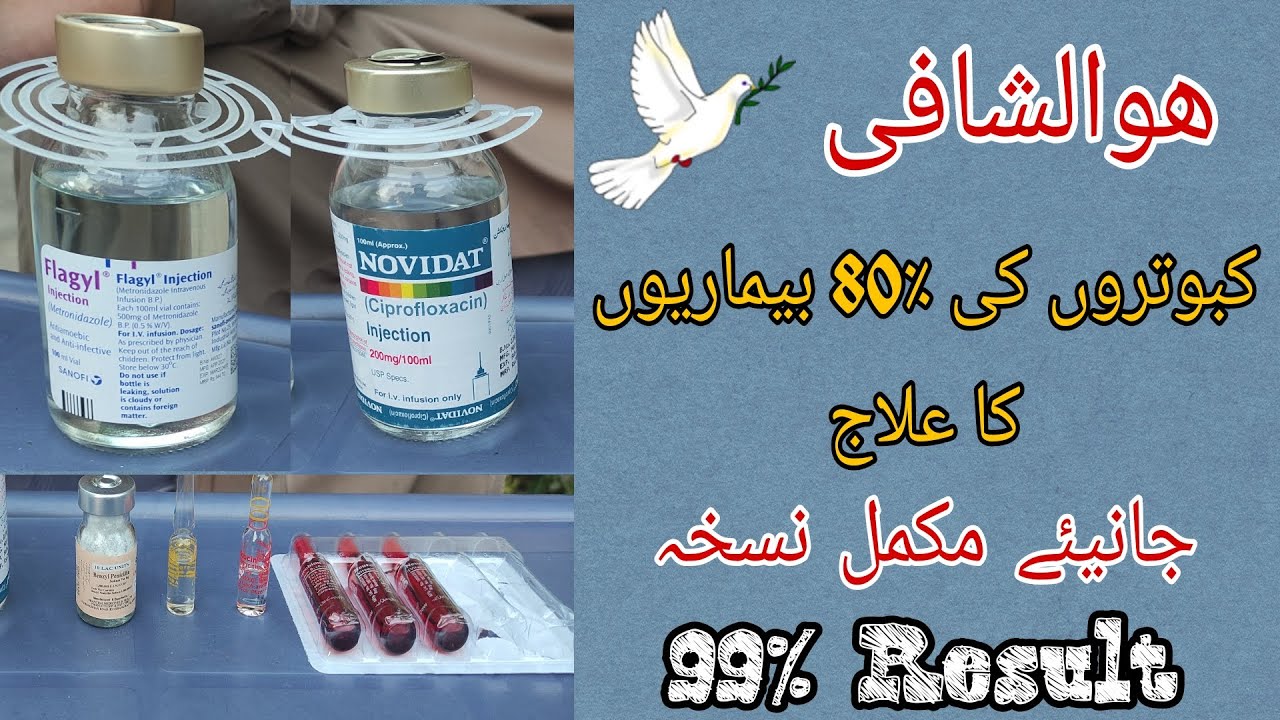 Treatment of 80% pigeons diseases | #fancypigeon #pigeon
