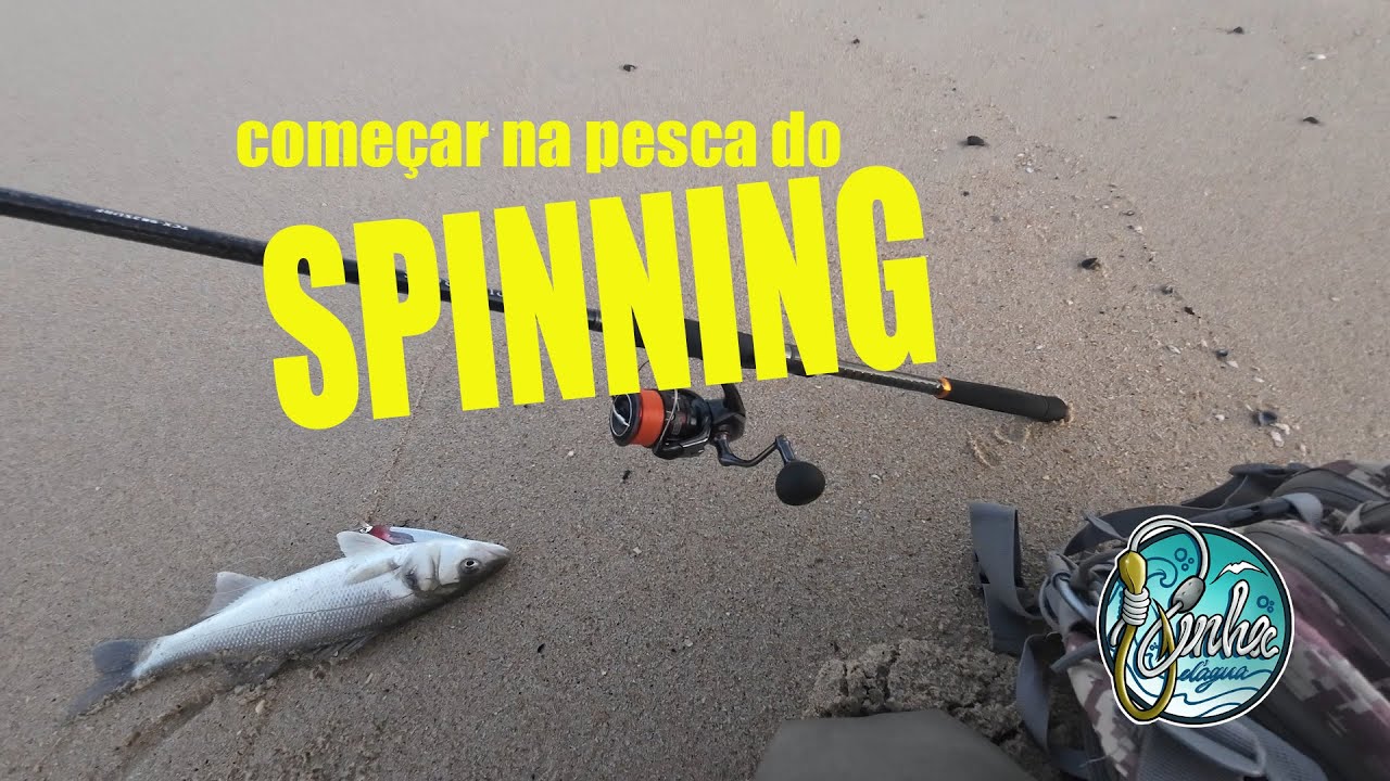 Come&ccedil;ar o Spinning no mar - seabass anglers