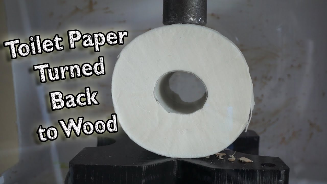 Toilet Paper Turned  Back to Solid Wood by Hydraulic Press