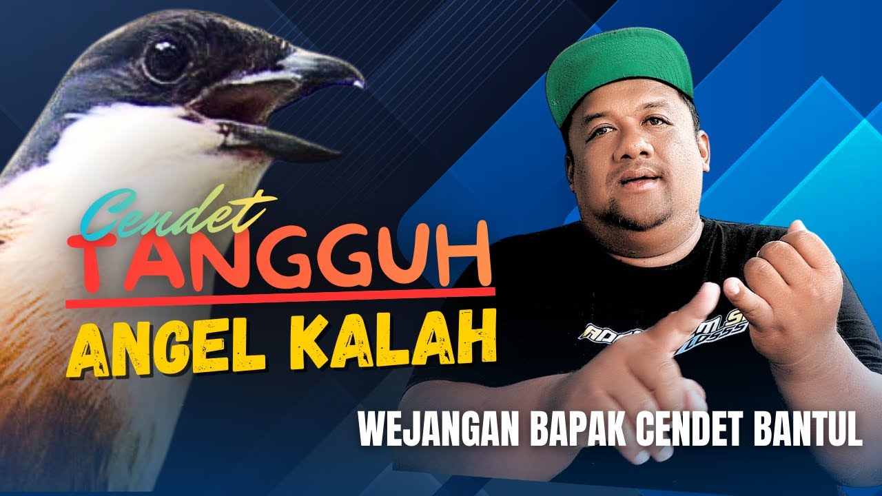 Cendet Tangguh Dan Sulit Di Kalahkan - Wejangan Bapak Cendet Bantul