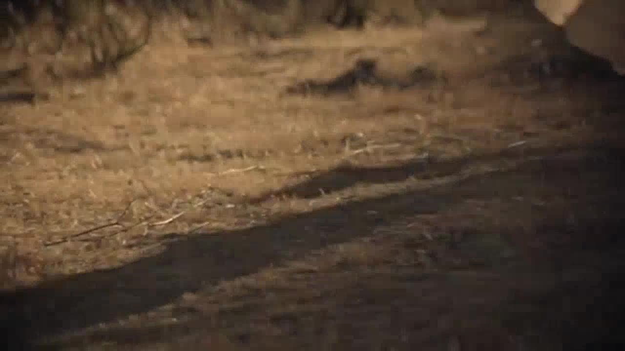 The Bridge - S 1 E 2