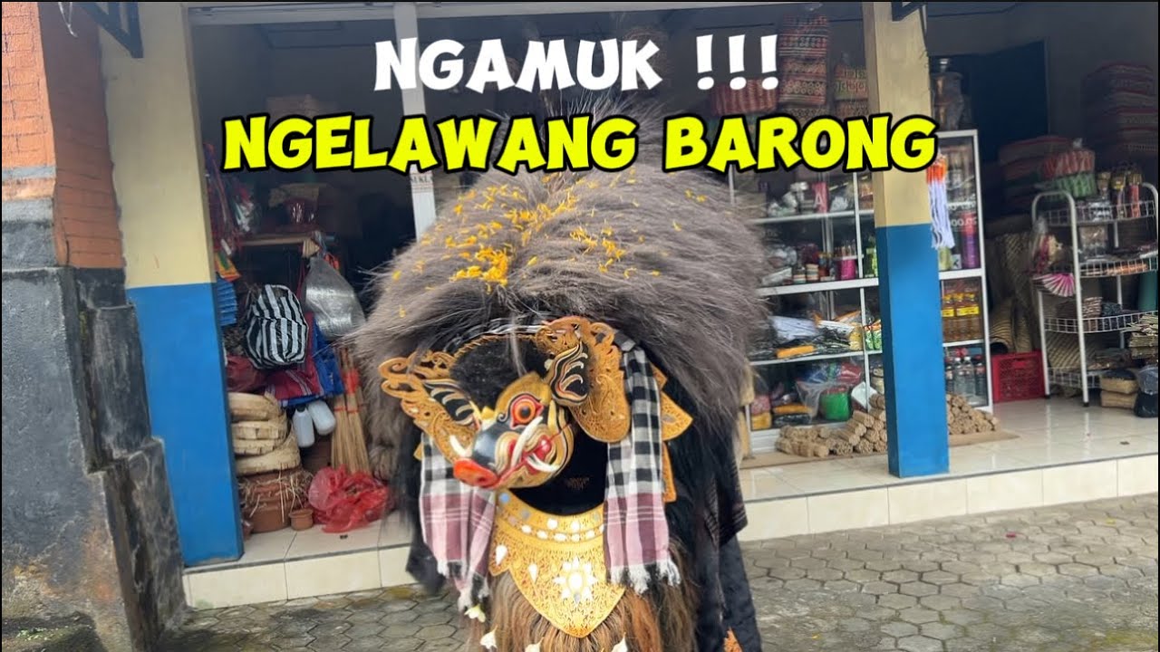 DANAN NGAMUK, HARI PERTAMA NGELAWANG BARONG BANGKUNG !!!