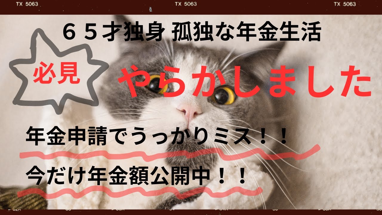 【65才 孤独な独身年金生活者】必見！年金額 報告します。年金受給 絶対忘れはダメなこと そして終活１０のポイントまで・・・