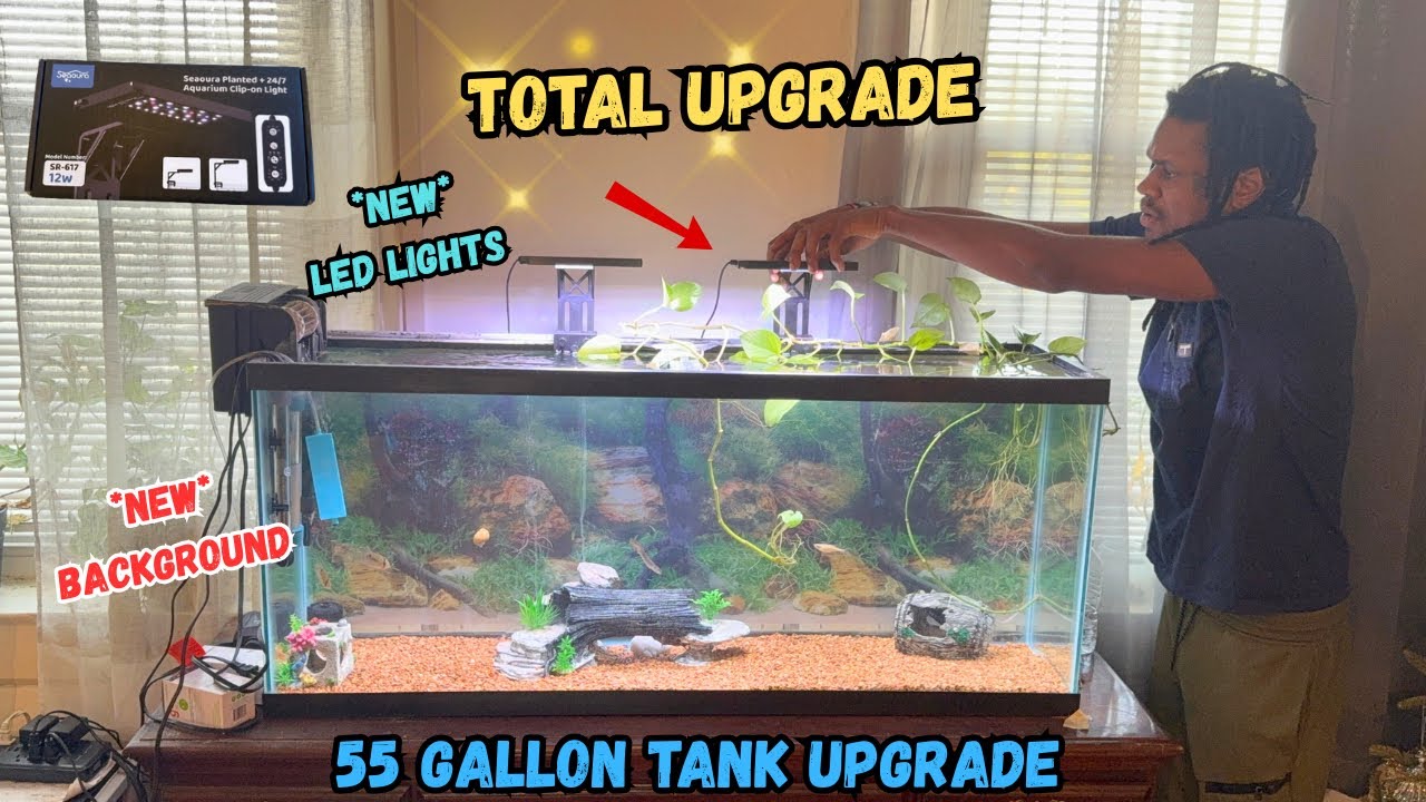 I Upgraded My 55 Gallon with New LED Lights💡 & Background (Insane Glow Up)