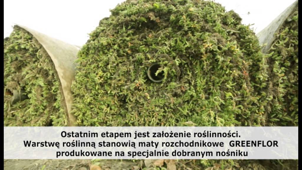 Zielony dach GREENFLOR instalacja, montaż, dach skośny