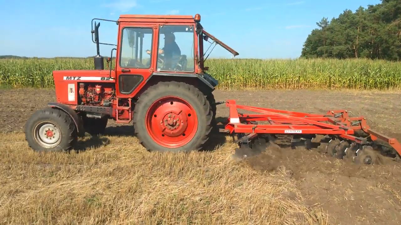 MTZ 82 + brona talerzowa Strumyk alfa x4 3,15m (29.08.2025)