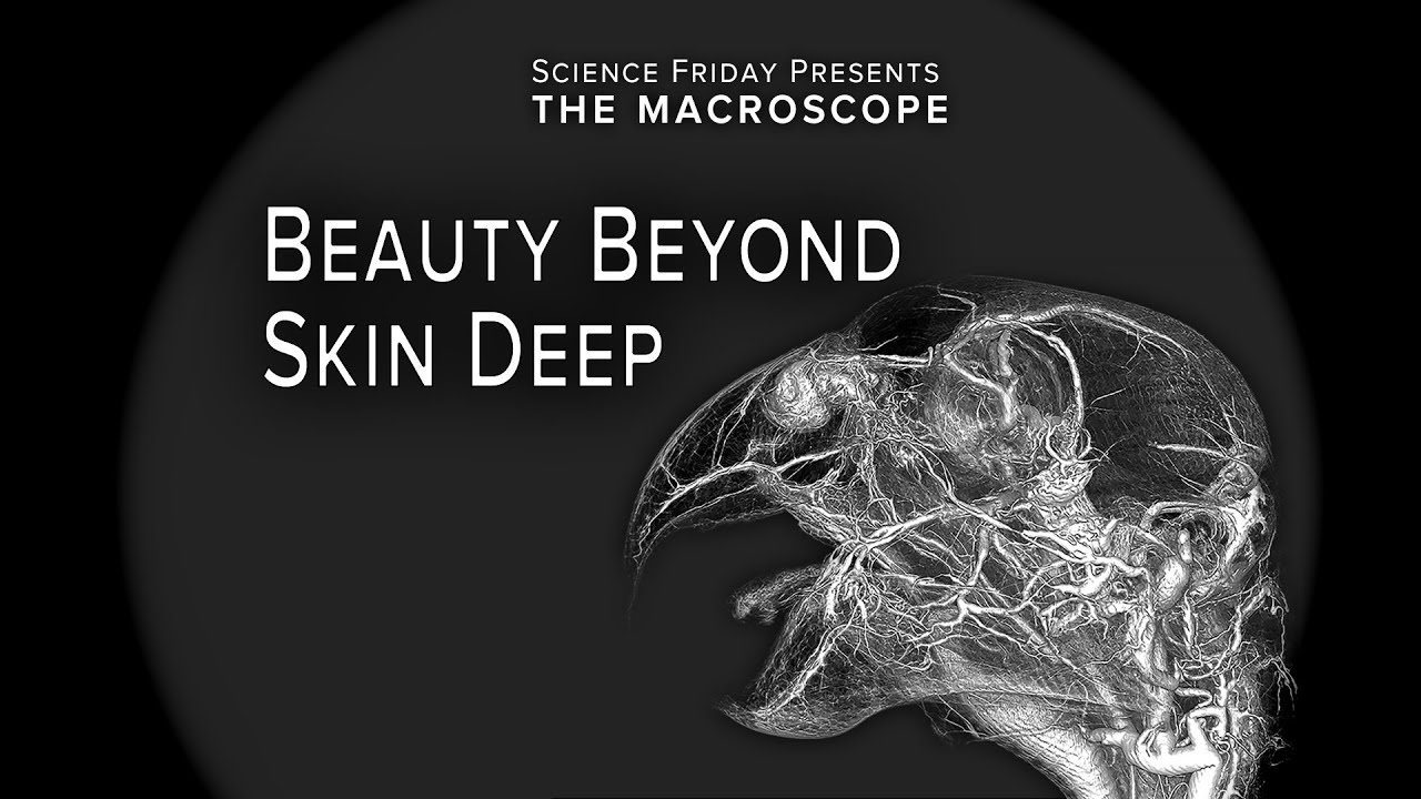 Beauty Beyond Skin Deep