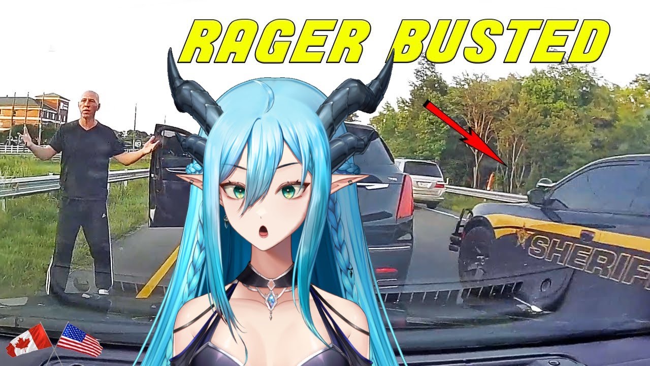 Drivers Busted by Police and Instant Karma (Dashcam Lessons React)