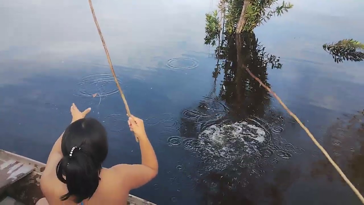 Pescaria de caniço as margens do rio tarumã mirim e algo inesperado aconteceu  Fique até o final 
