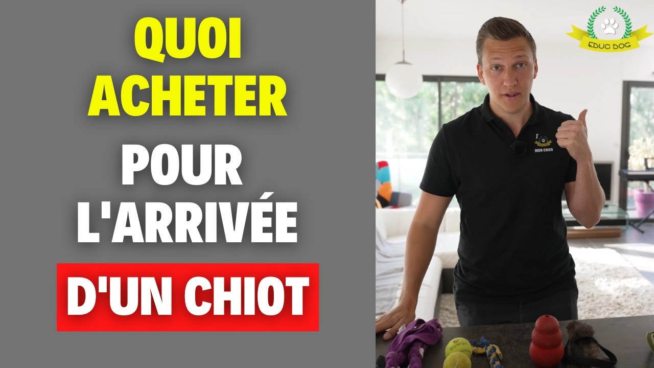 Nouveau chiot 🐶  : voici le matériel dont vous avez besoin pour l'accueillir !