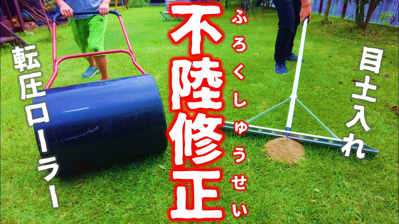 【芝生の凸凹直します】秋の芝生メンテナンス！不陸修正（目土入れ、転圧ローラーやりました！）