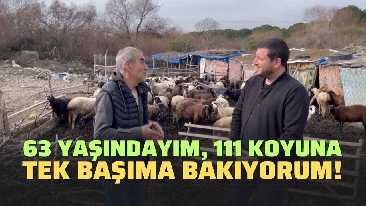 63 Yaşında 111 Koyuna Tek Başıma Bakıyorum! / “Kuzu Sütten Fazla Kazandırıyor”