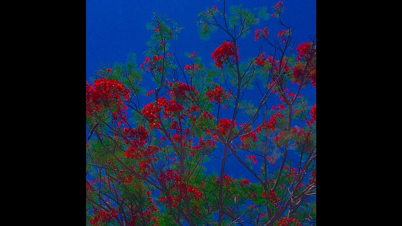 [FREE] Bleachers x Tame Impala type beat 