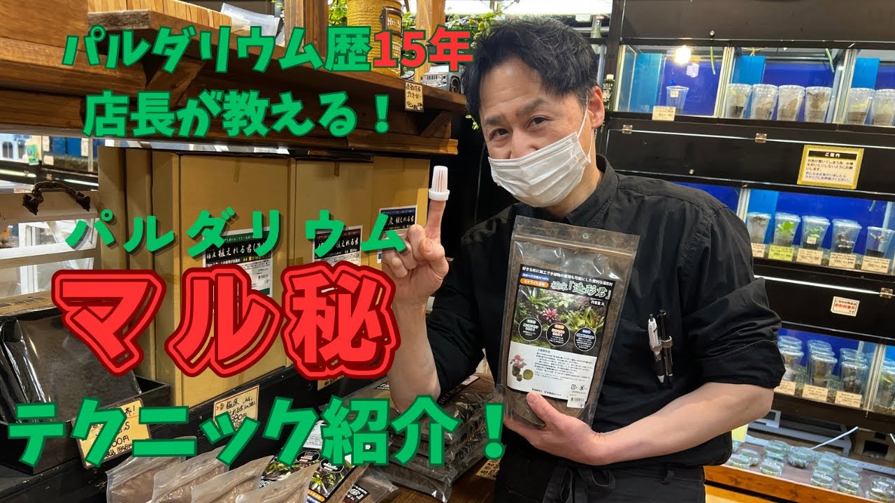 【パルダリウム製作#3】パルダリウム歴15年のベテランが教える！パルダリウムに使えるマル秘テクニック紹介！