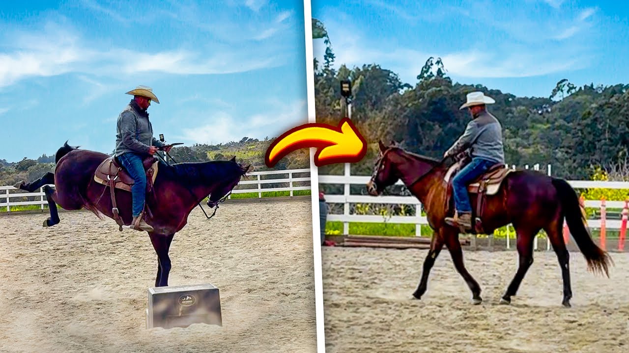 Problem Horse Transformation: Things got a little Western!