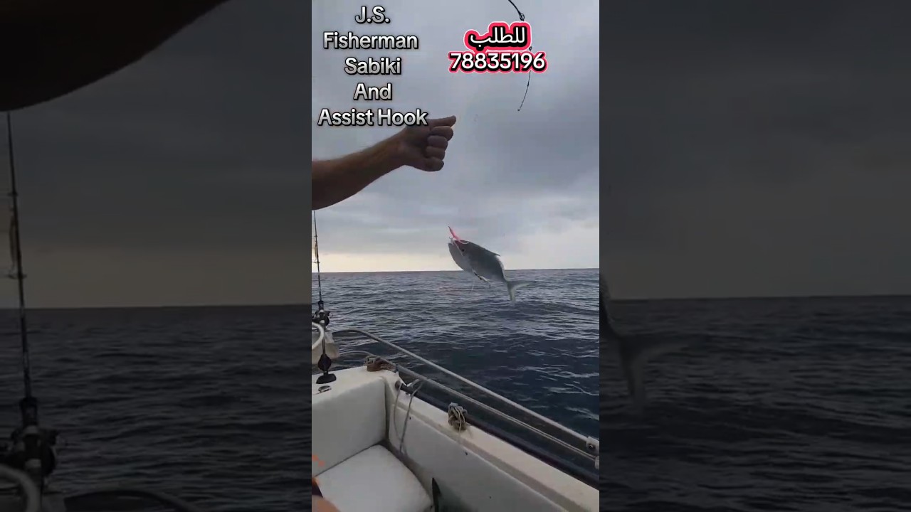 صيد اسماك التريخون والبلميدا والفوغو في البحر الأبيض المتوسط #fishing #fish #سمك #صيد