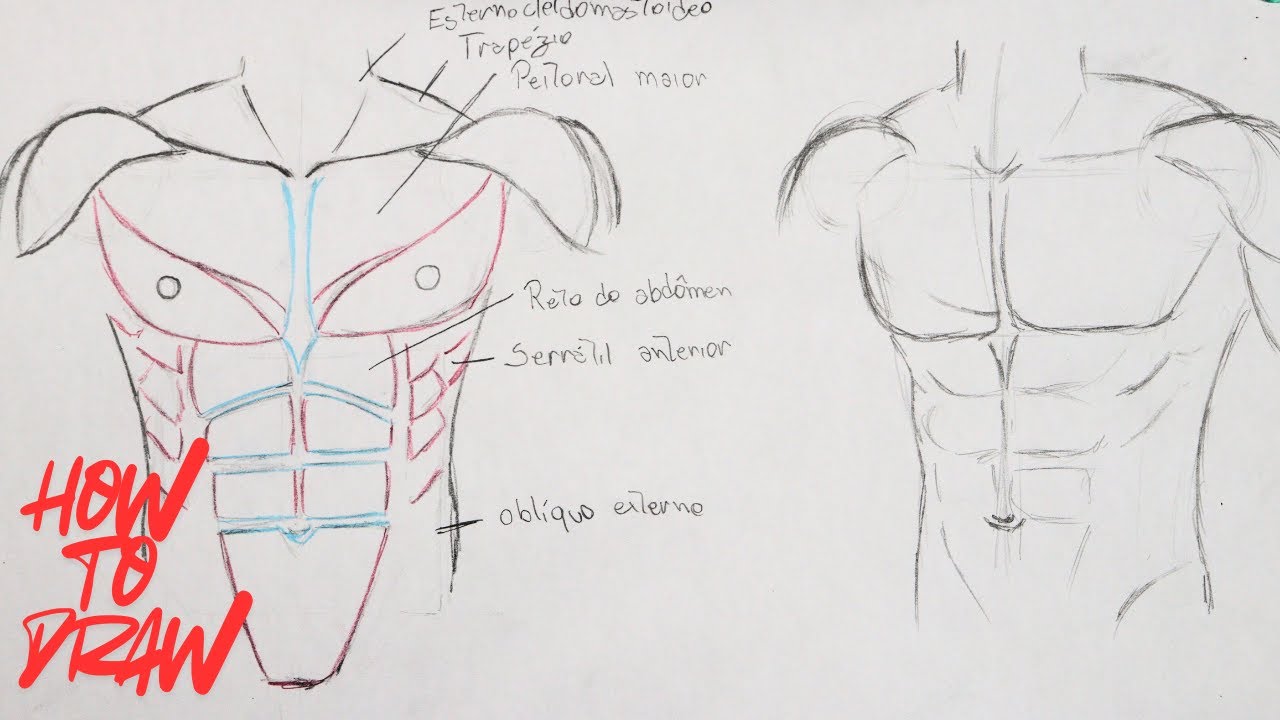 COMO DESENHAR CORPO ANATOMIA