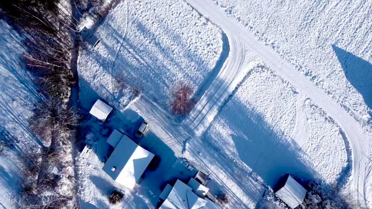 My backyard February 2026