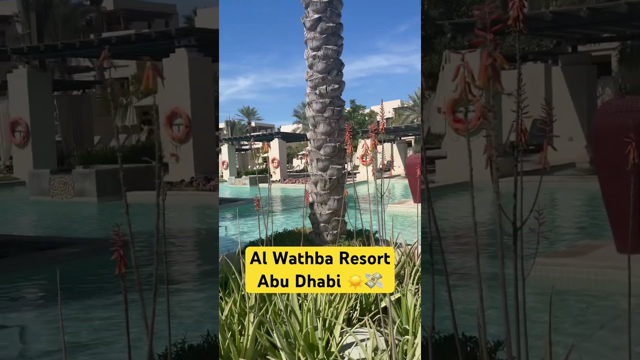Al Wathba Abu Dhabi: The Most LUXURIOUS Pool in the Desert! #shorts #abudhabi