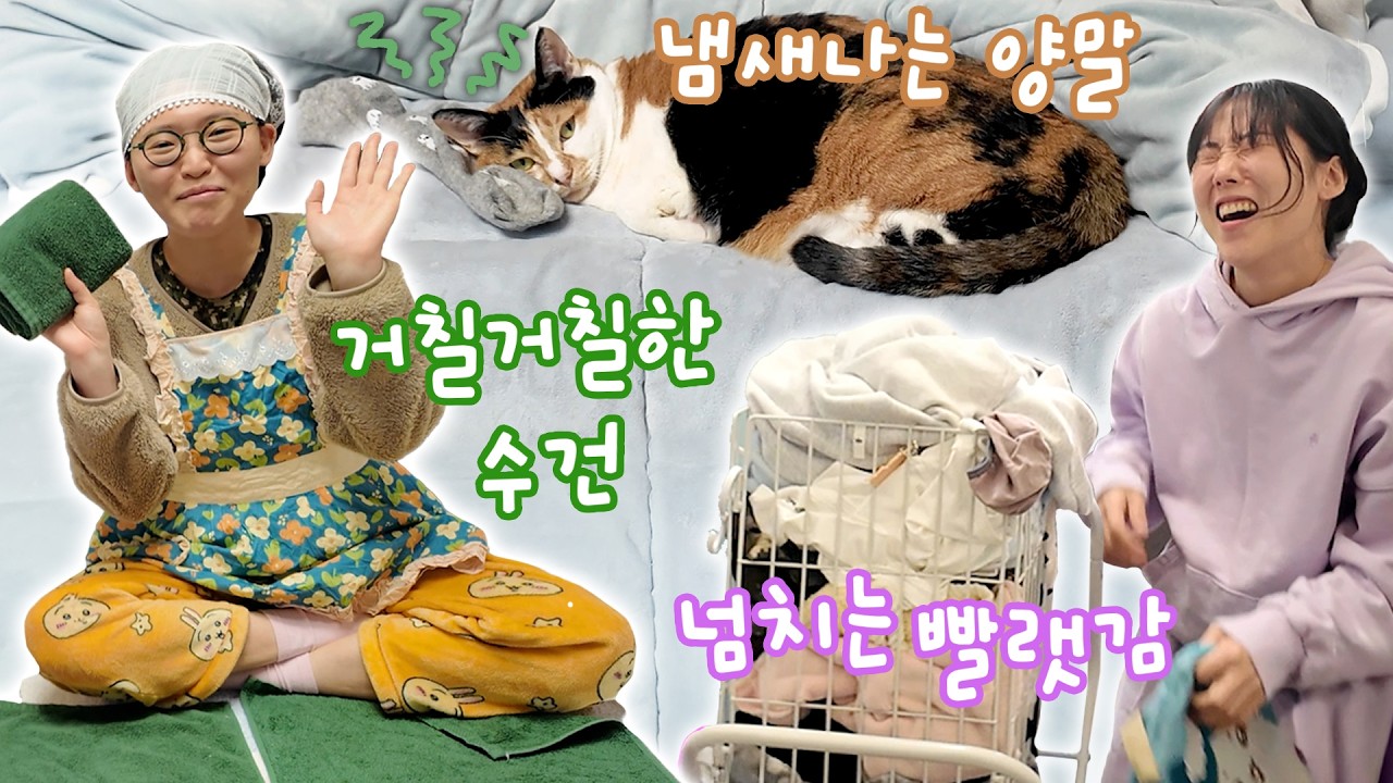 빤스 3장씩 갈아입는 여자와 털뿜뿜 고양이들이 같이 사는 집 필수품🏠