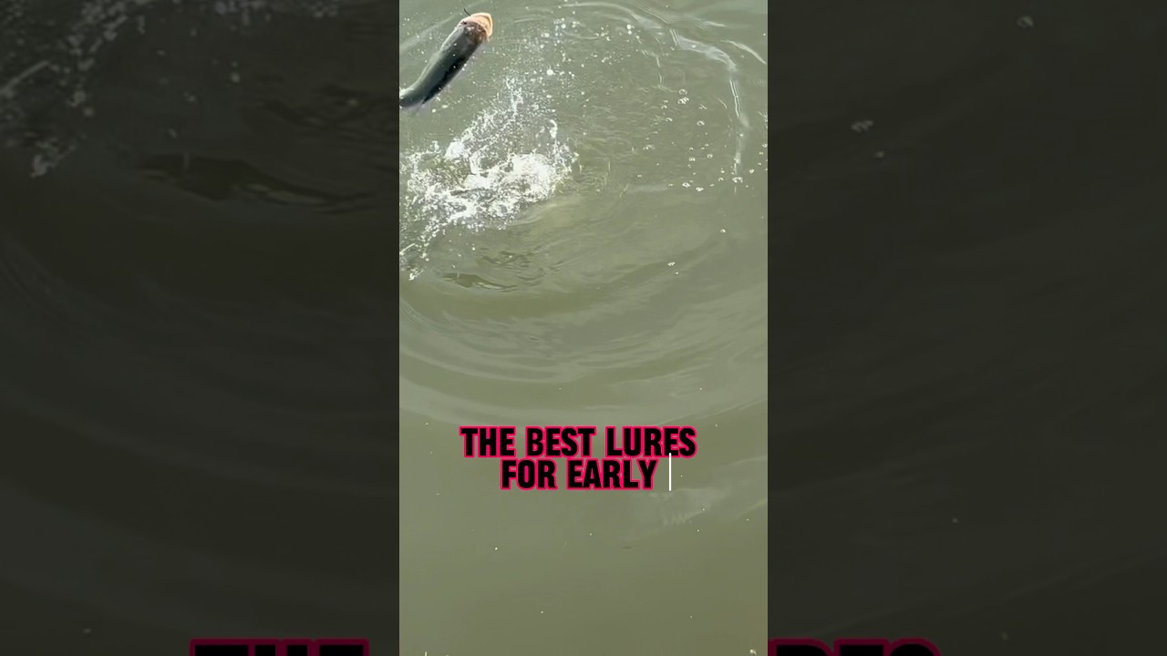 BEST Lures For Early Morning Bass Fishing! 