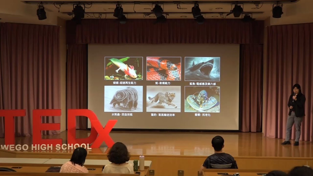 假如我有改造基因的超能力 | 咸靜 秦 | TEDxWegoHighSchool