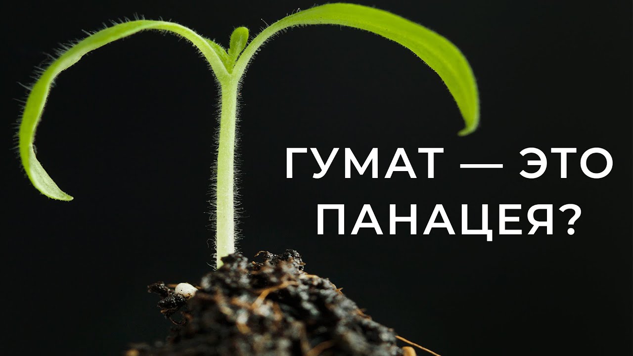 Что такое гумат? Какие бывают виды? Когда можно использовать, а когда категорически нет?