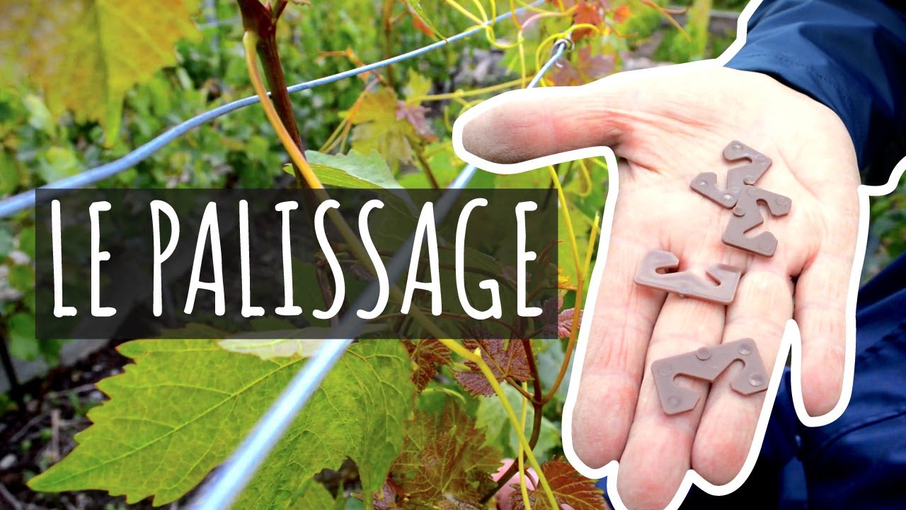 LE PALISSAGE
