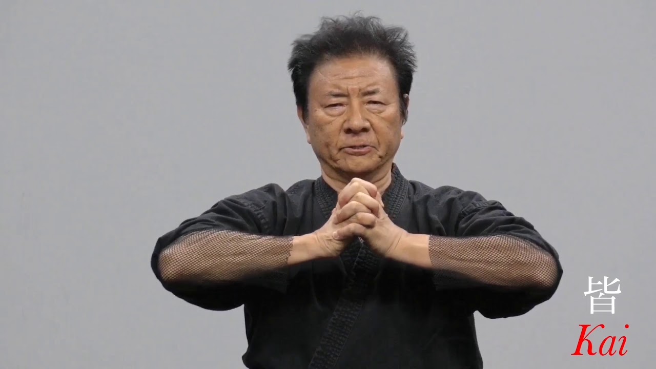 The Original Ninja 