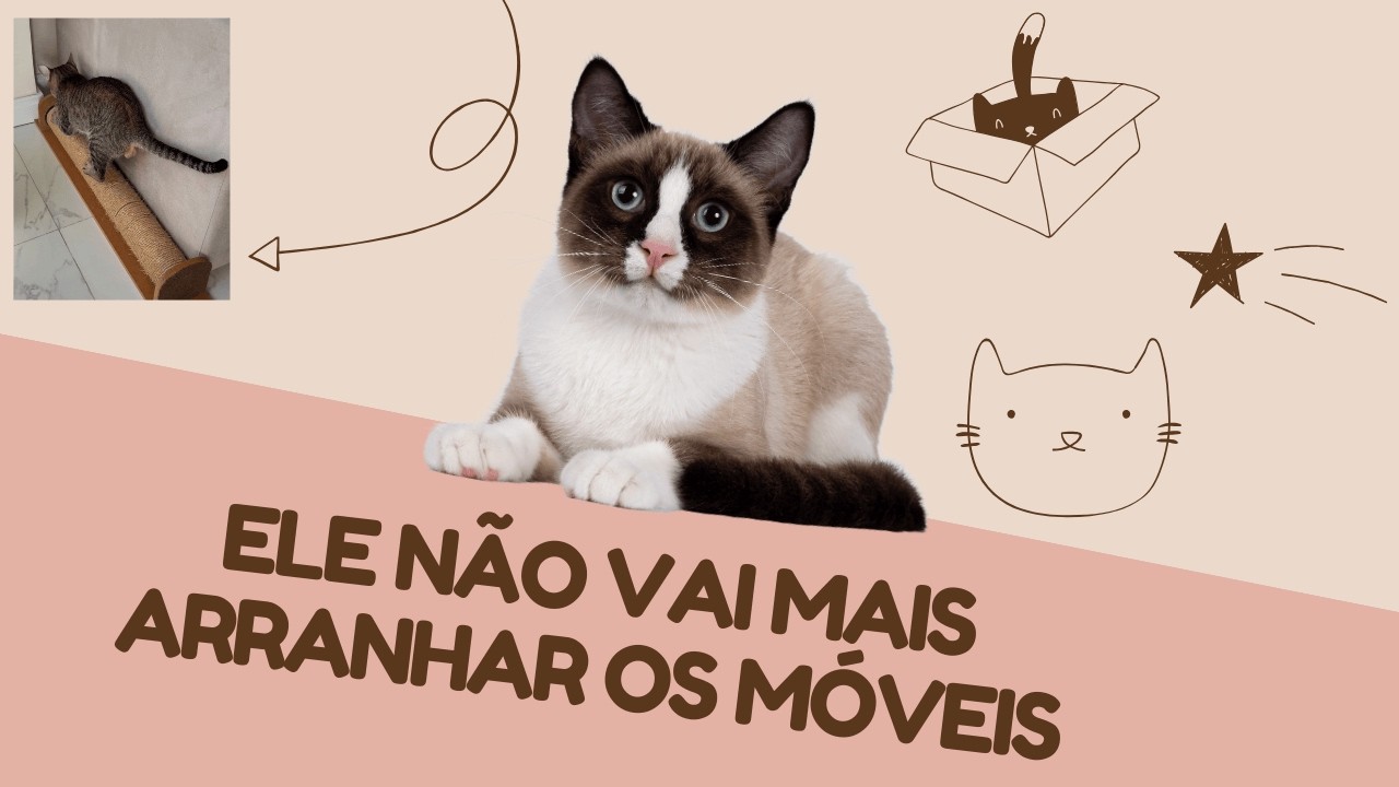EVITE QUE O SEU GATO ARRANHE OS SEUS MÓVEIS! Os MELHORES arranhadores para ter em casa.