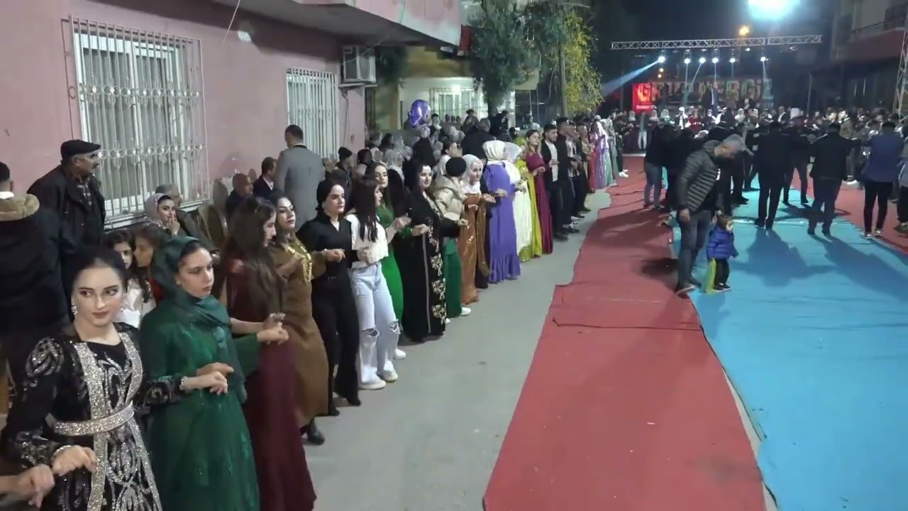 GRUP NERGİZ BİTLİSLİLERİN DÜĞÜNÜ 2024 SEGAVİ