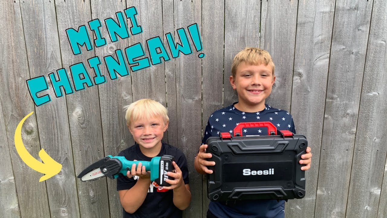 Seesii 4 inch Mini Battery Chainsaw Review!!