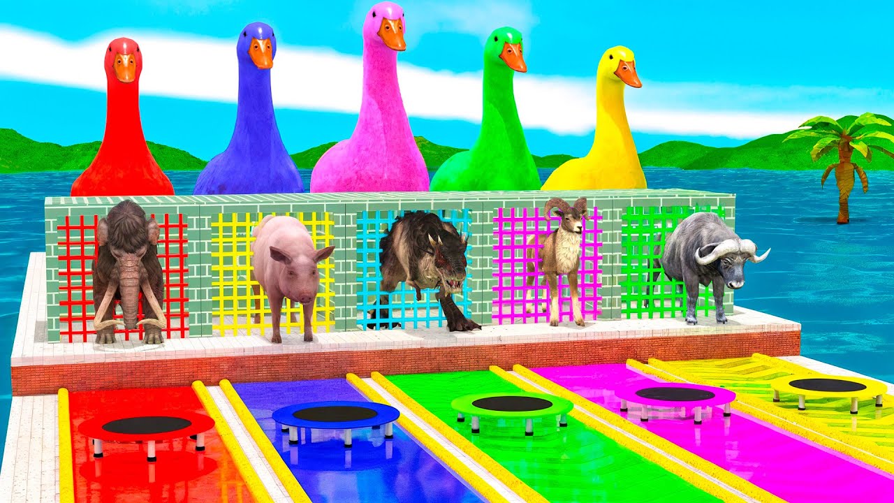 Long Slide Game with Cow Elephant Gorilla Hippopotamus Tiger 3d Animal Game Funny 3d Animals
