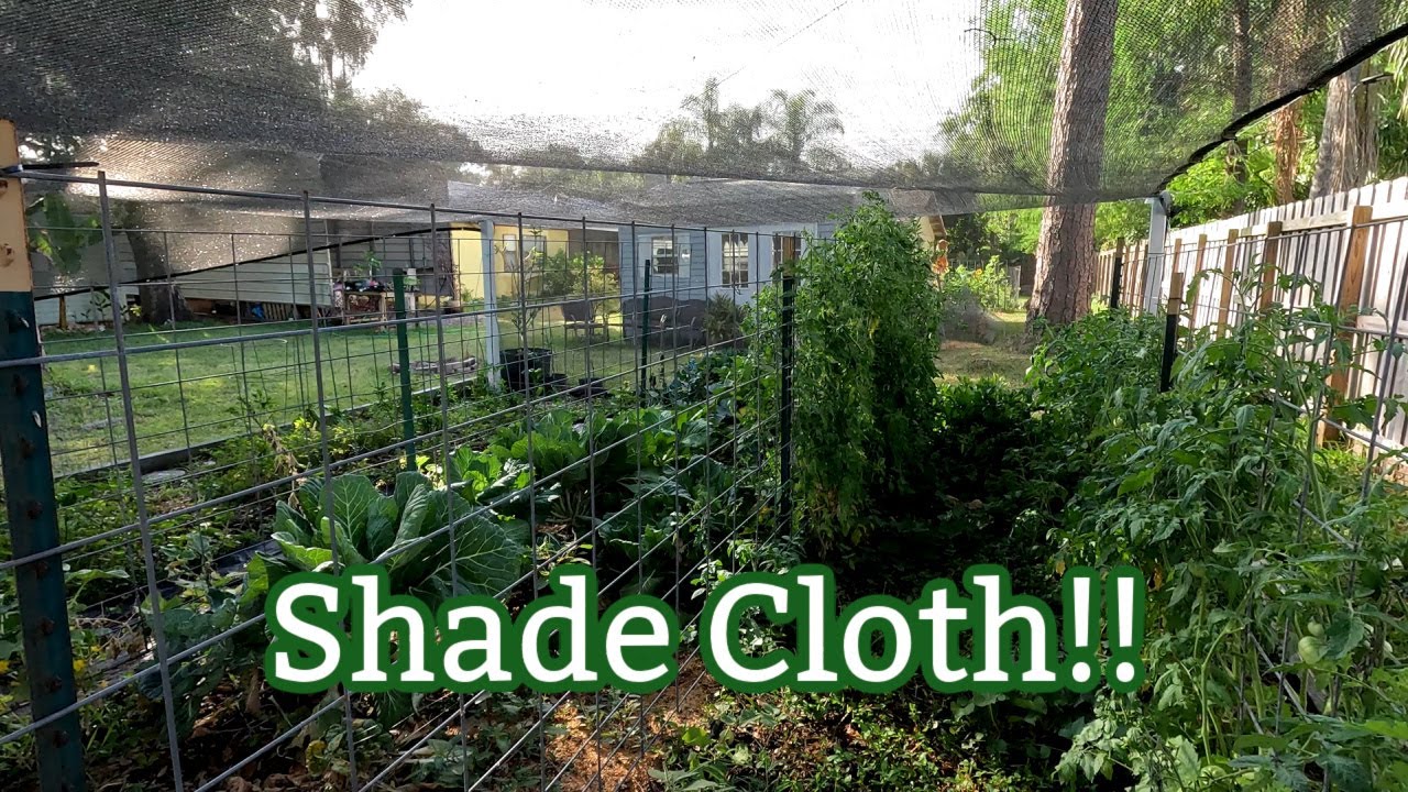 How we put up our Shade Cloth in our Veggie Garden | Southern Latitudes
