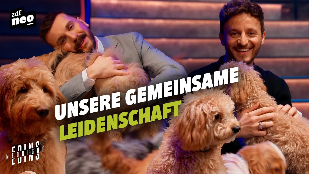 Tommi Schmitt im Hundehimmel | Edins Neo Night